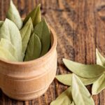 The Aromatic Leaf with a Rich Culinary Heritage- Bay Leaf