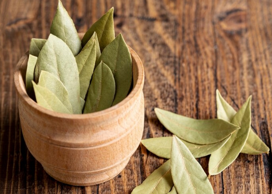 The Aromatic Leaf with a Rich Culinary Heritage- Bay Leaf