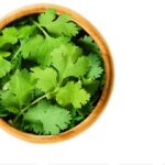 Coriander: The Versatile Herb with a Storied Past