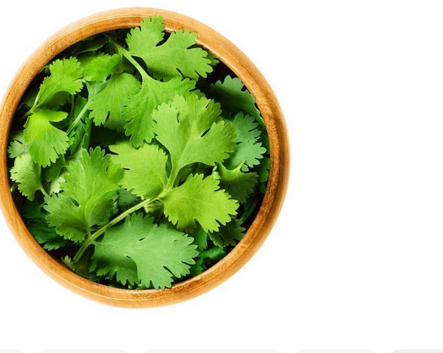 Coriander: The Versatile Herb with a Storied Past