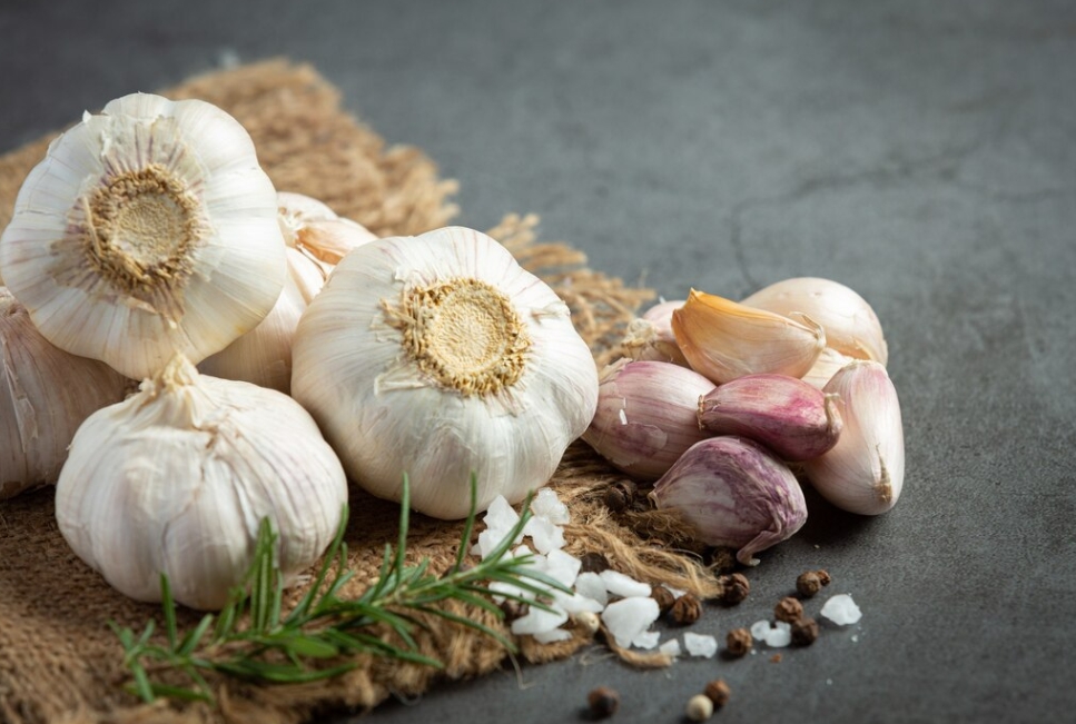 A Flavorful Legacy Rooted in History, Culture, and Cuisine. Garlic